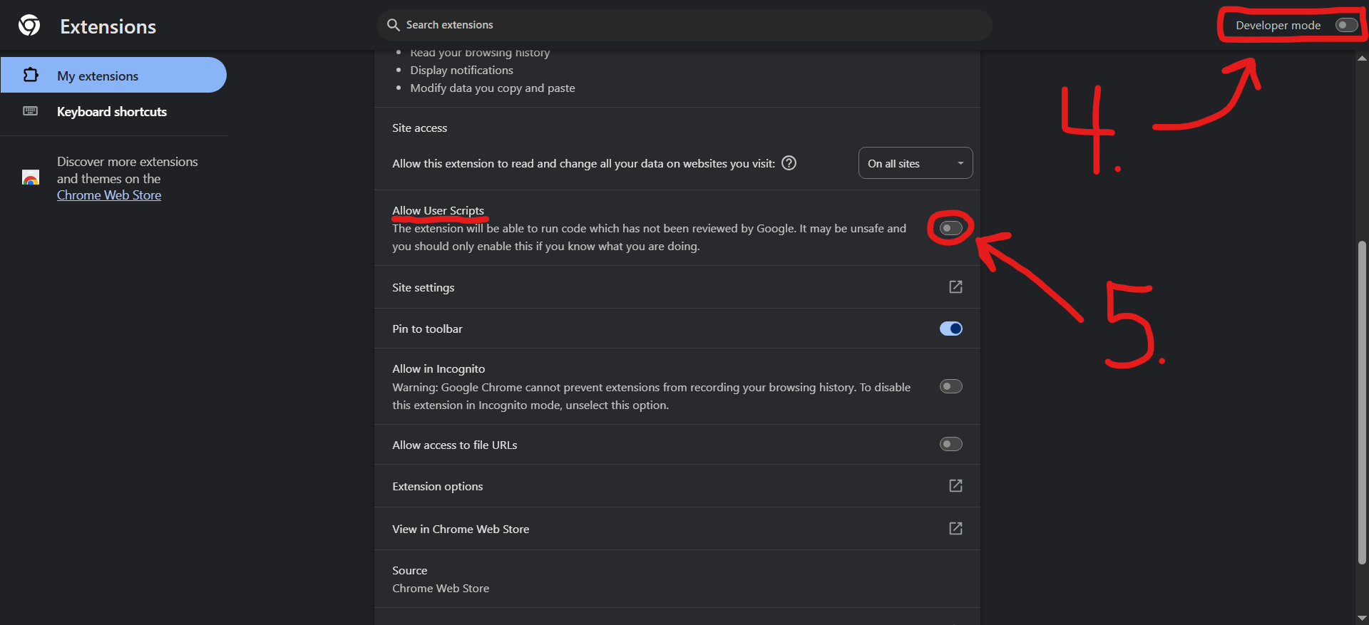 Developer Mode